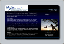 Screen shot of Financial web site